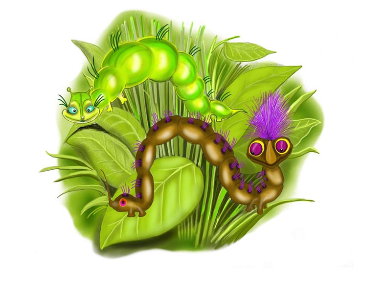 Catepillar ( Illustration )