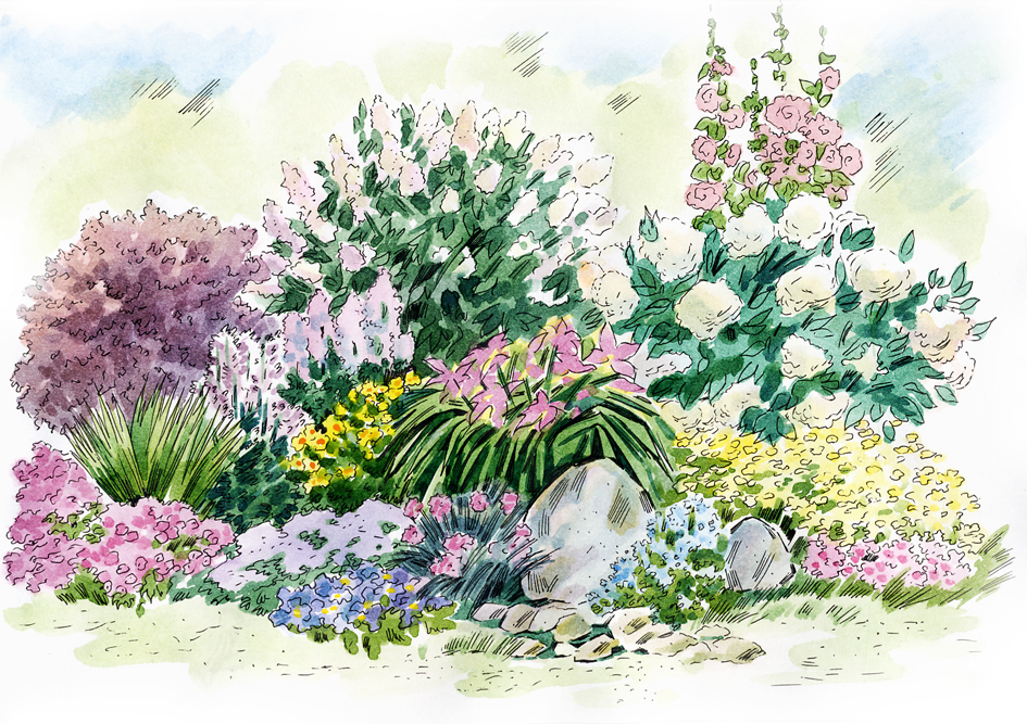 рисунок для журнала "Дом и сад"