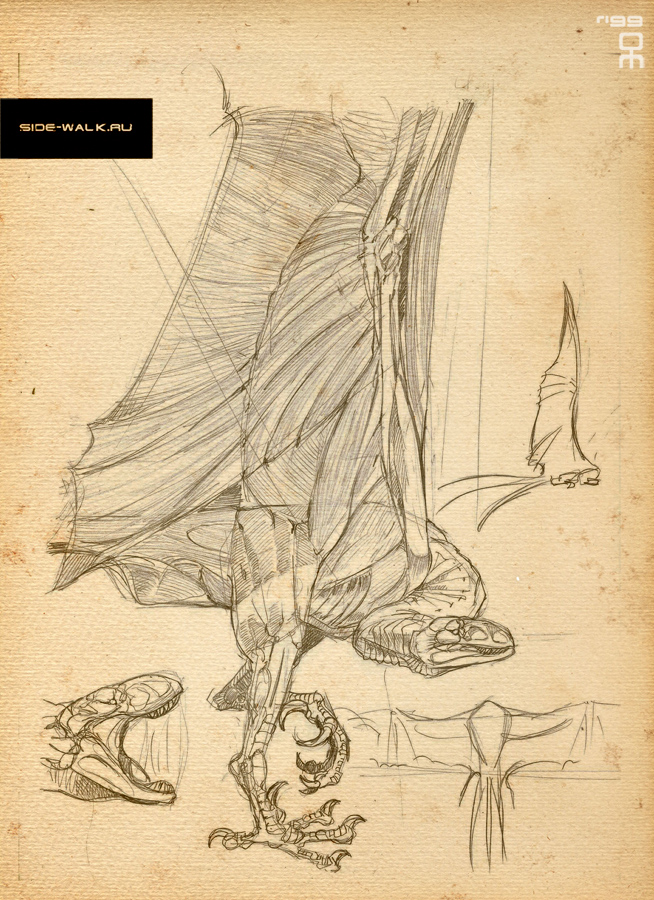 разработка