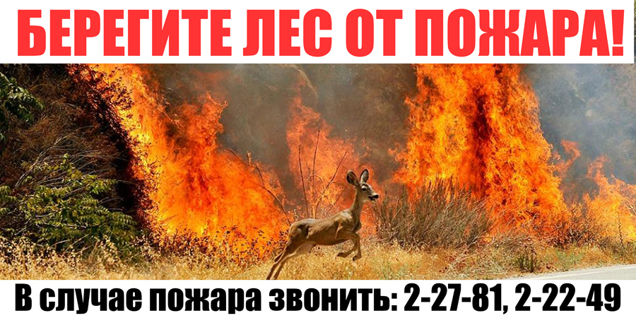Баннер "Береги лес от пожара"