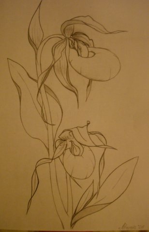 Цветы-хищники