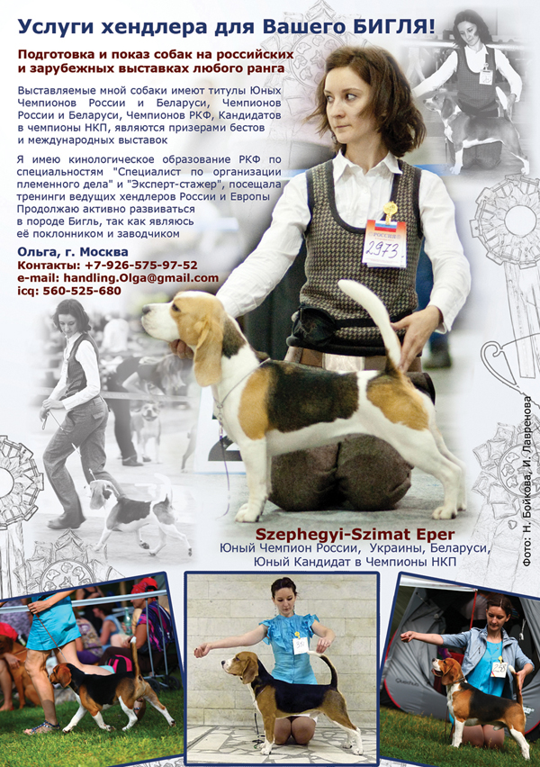 Рекламный макет для хендлера