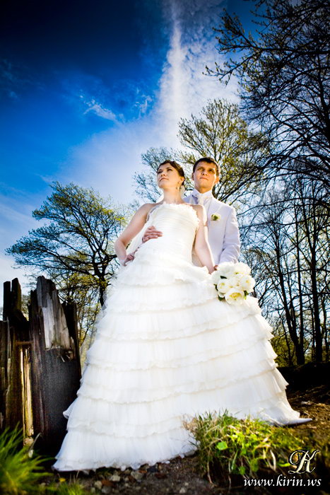 свадьба: в зените