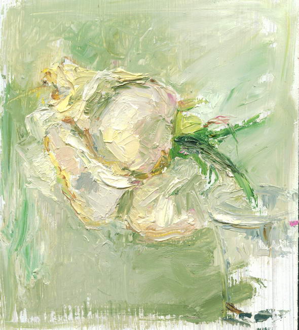 этюд розы_масло