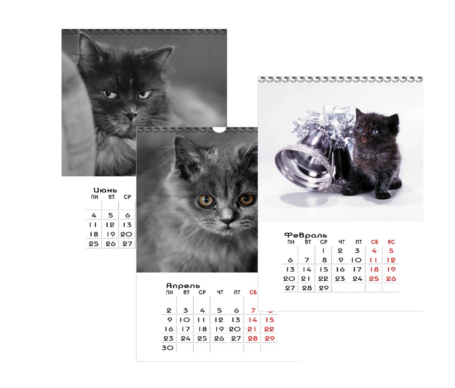 Календарь "Котята"