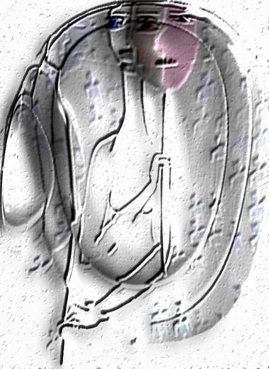 иллюстрация2