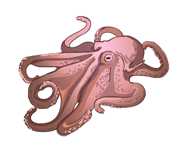 Осьминог (Flash)   