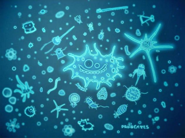 прикрепленный файл