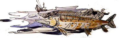 рисунок для этикетки