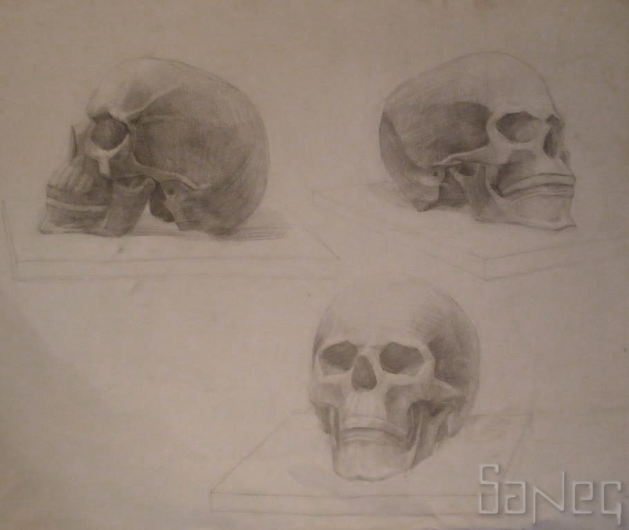 Повороты черепа