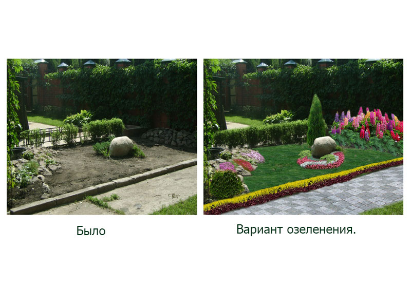 Озеленение части частного участка.