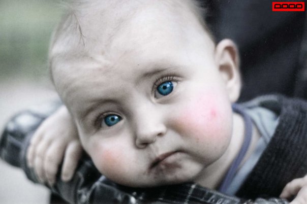 моя прелесть