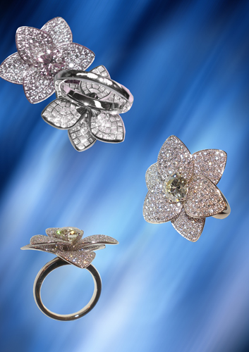 Старница каталога