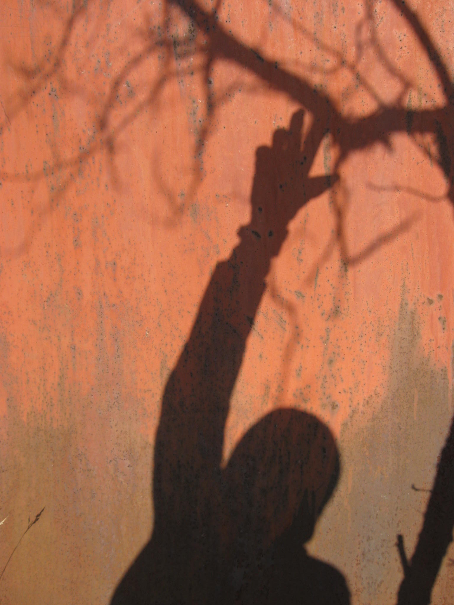 Весенняя прогулка_2 )