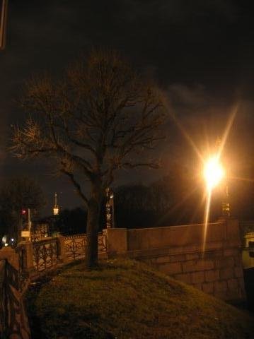 Мысли в ночном Петербурге