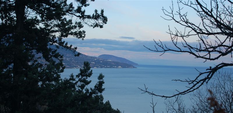 Живопись. Зима :)