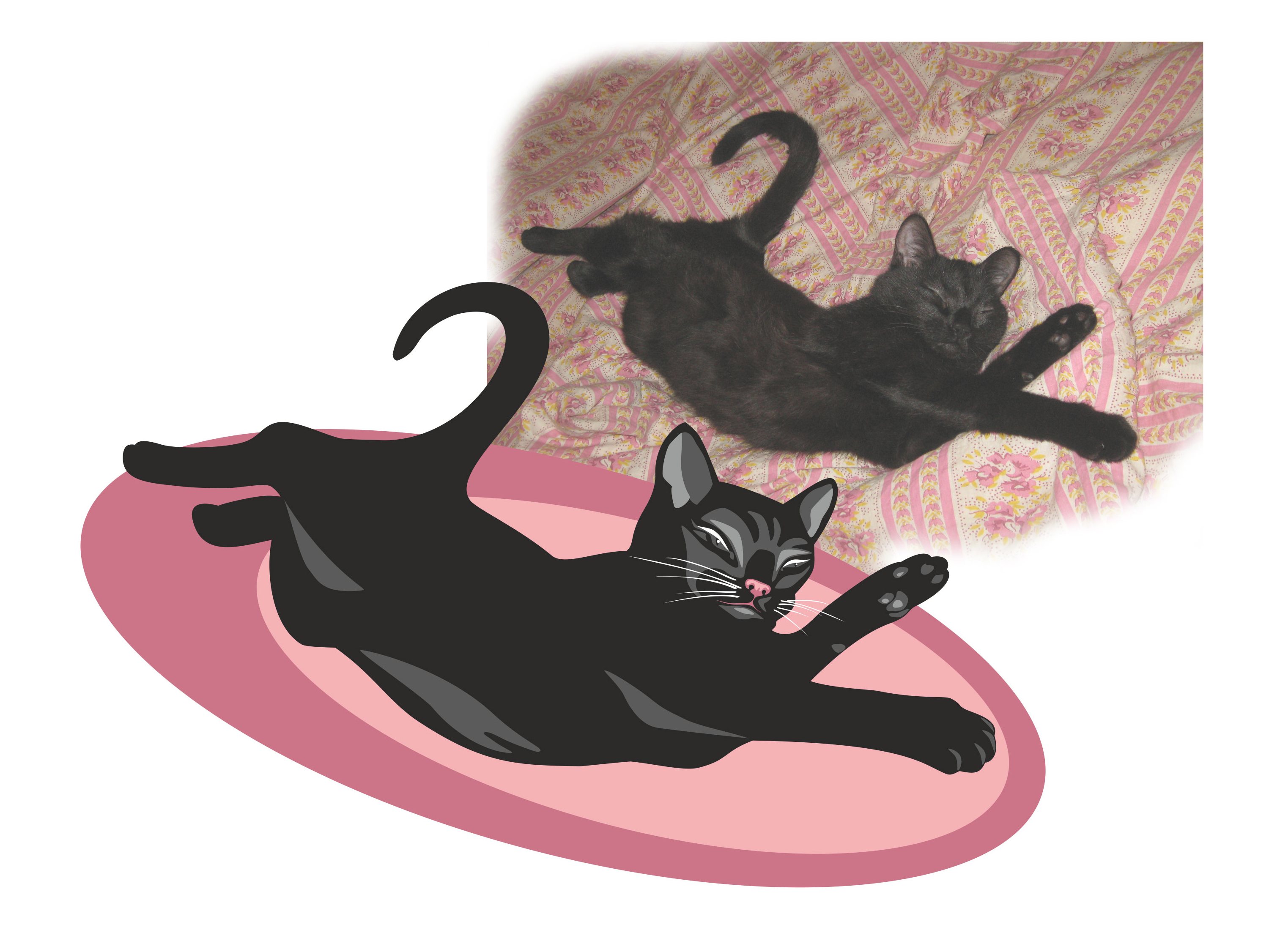 Отрисовка по фото