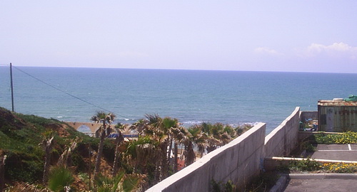 прикрепленный файл