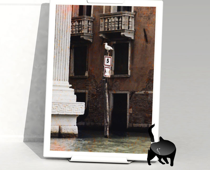 Чайкины дела