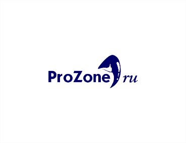 Логотип для игрового сайта Prozone.ru