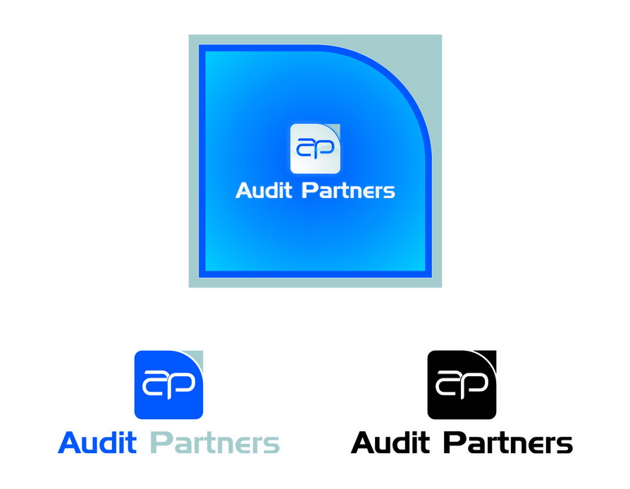 AUDIT PARTNERS