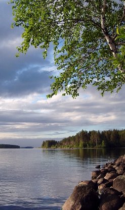 Приветствие