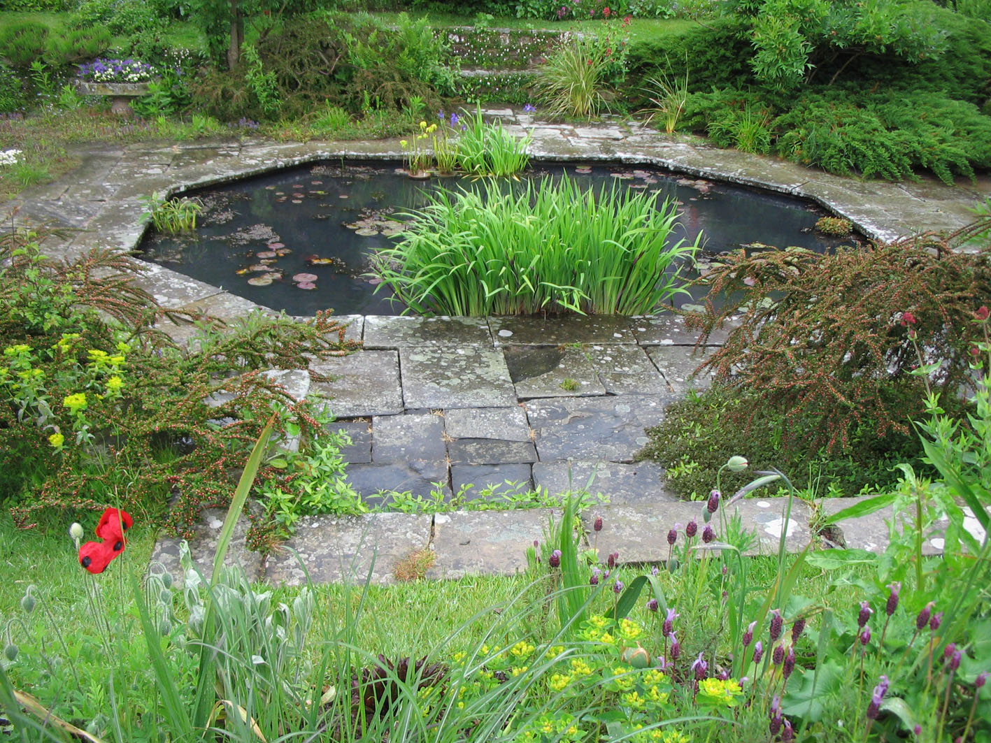 Часть ладшафта