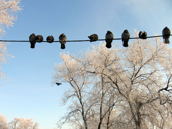 Прогулки по  городу...