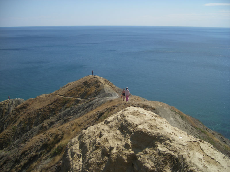 Без названия