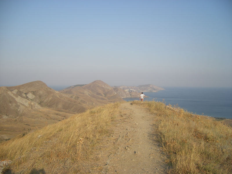 Без названия