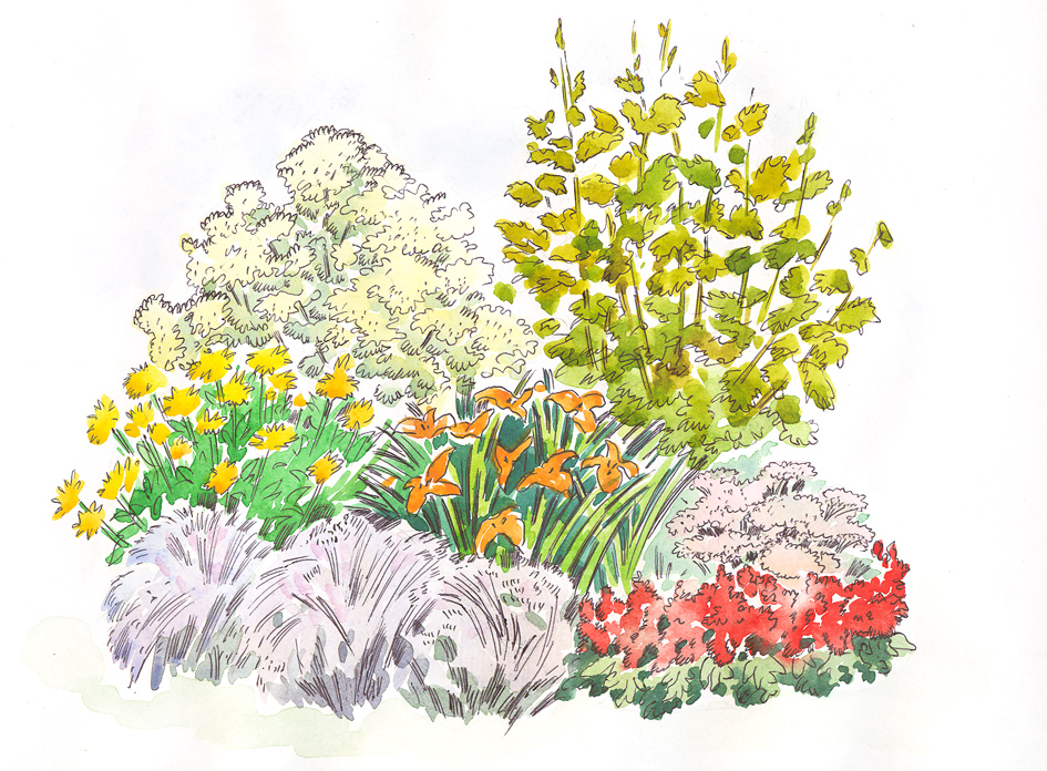 рисунок для журнала "Дом и сад"