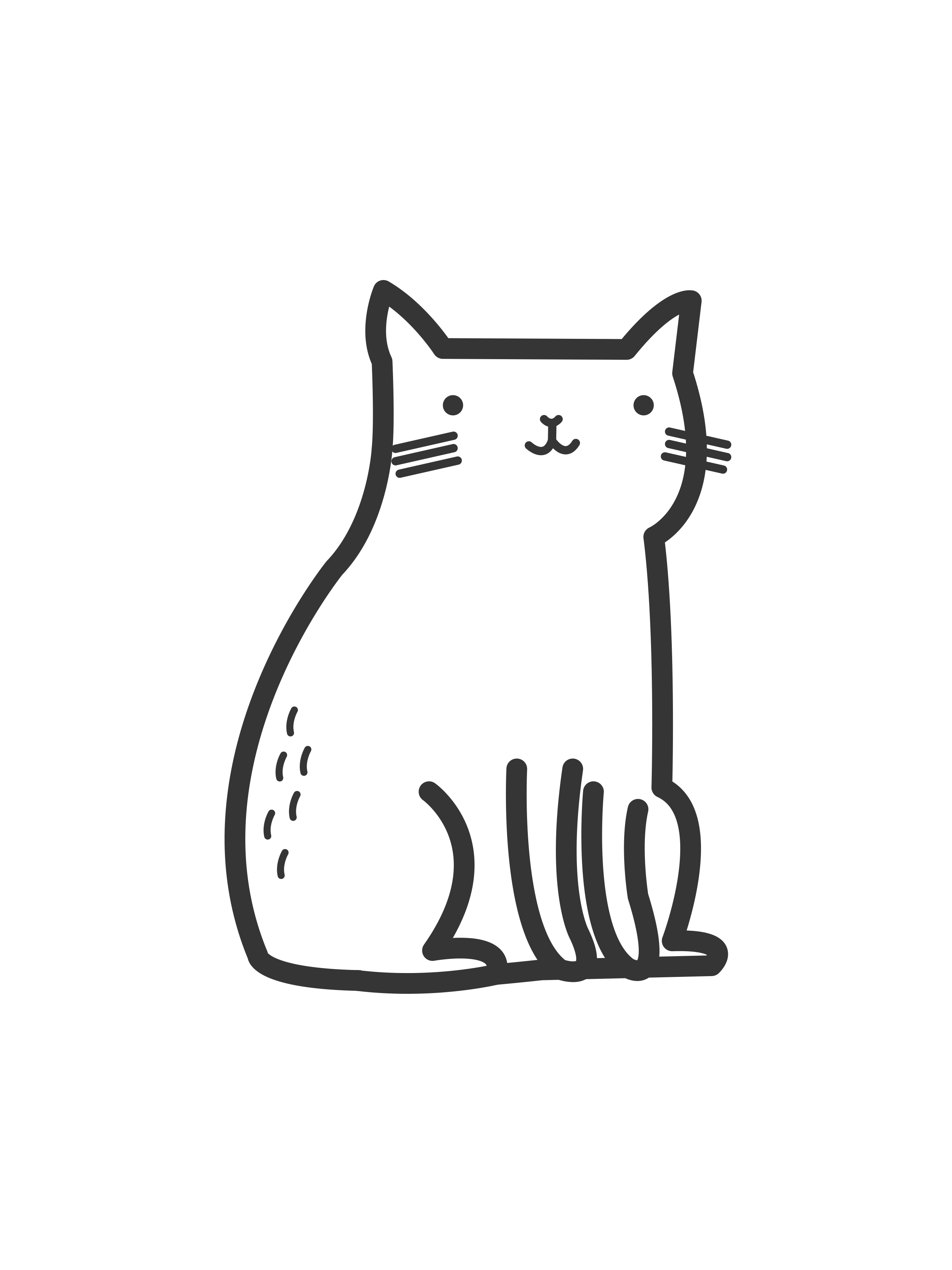 Иконка котика