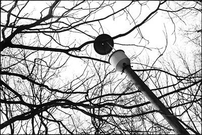 Фотосерия "Портреты предметов"