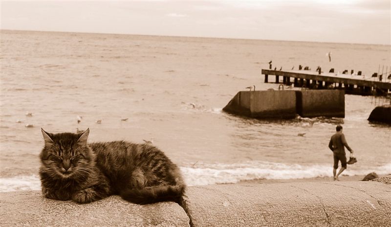 Сны о чем-то большем... ;))