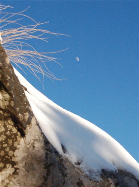 Ночное светило ;)