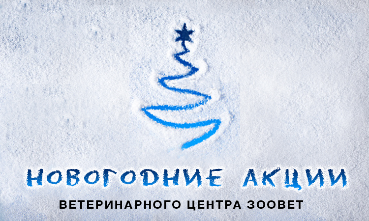 баннер на сайт