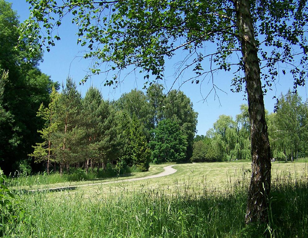 Дендропарк "Олександрія" - Літній фотоетюд