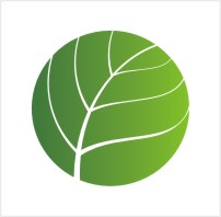 коррекция логотипа для компьютерной компании "ЛИСТ"