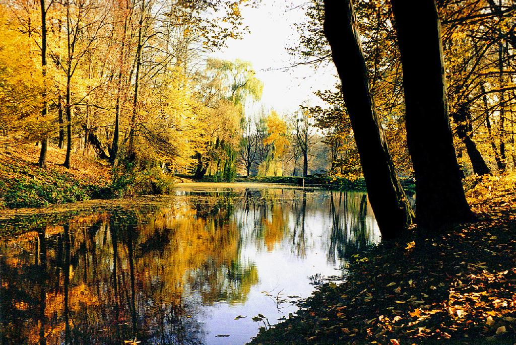 Дендропарк "Олександрія" - Золота осінь