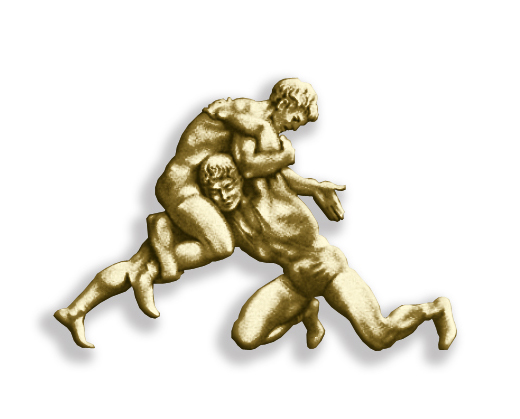 значок "Борцы"