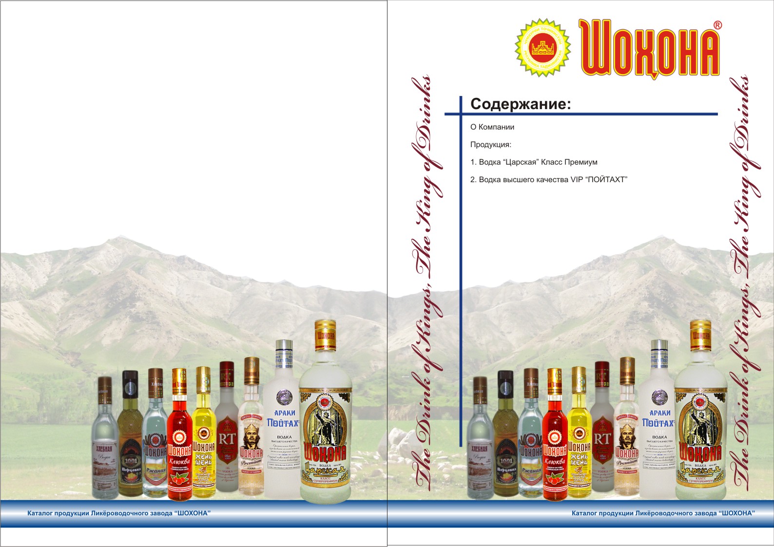 Шохона для проспекта