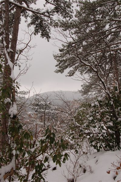 Снег идет...