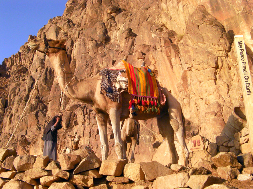 гора Моисея