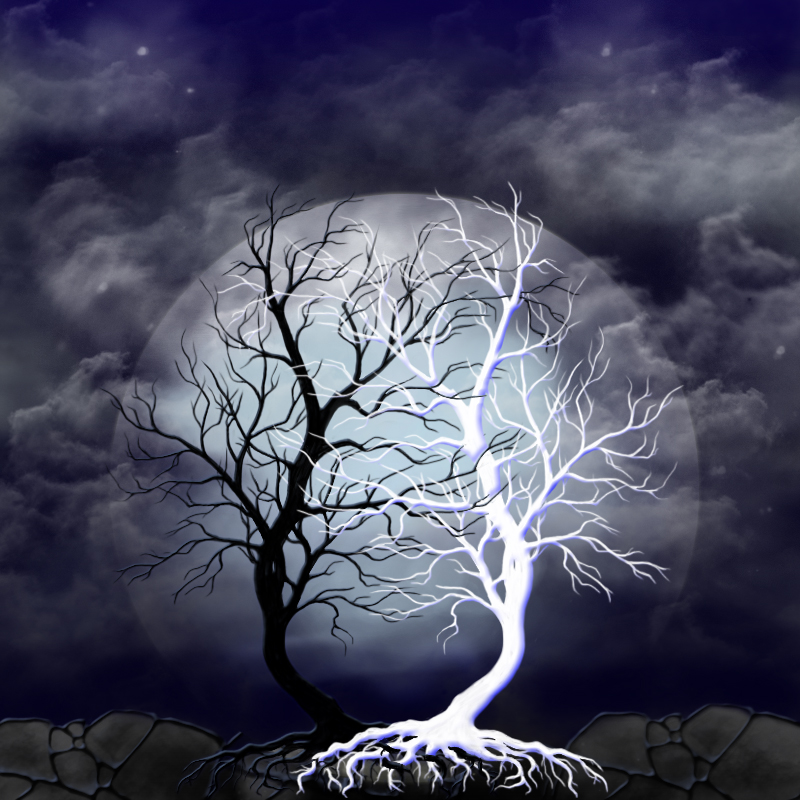 инь янь ночь