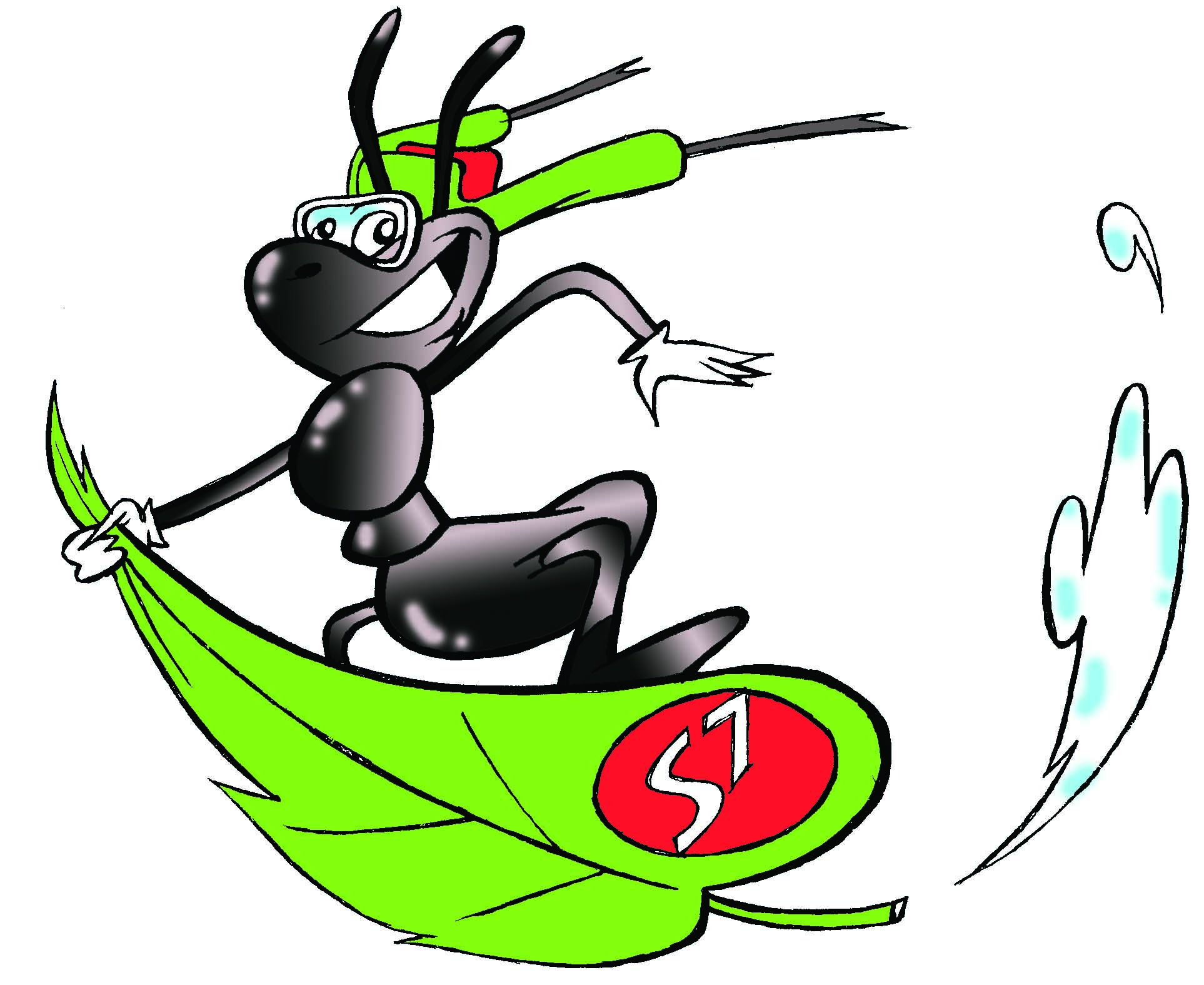 жук для авиакомпании