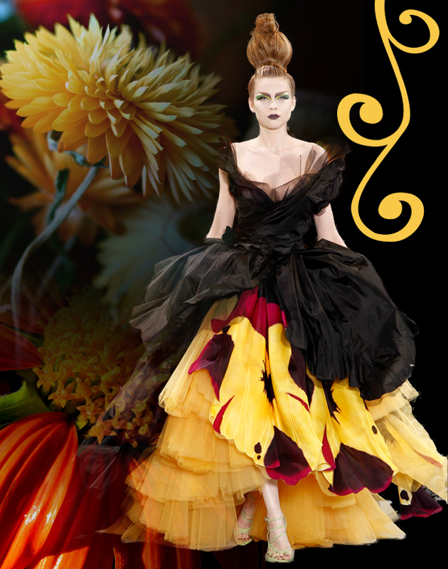 Dior HC FW 2010-2011