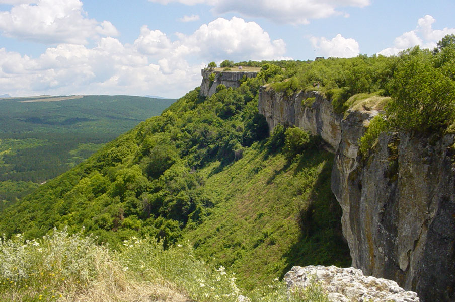 Без названия