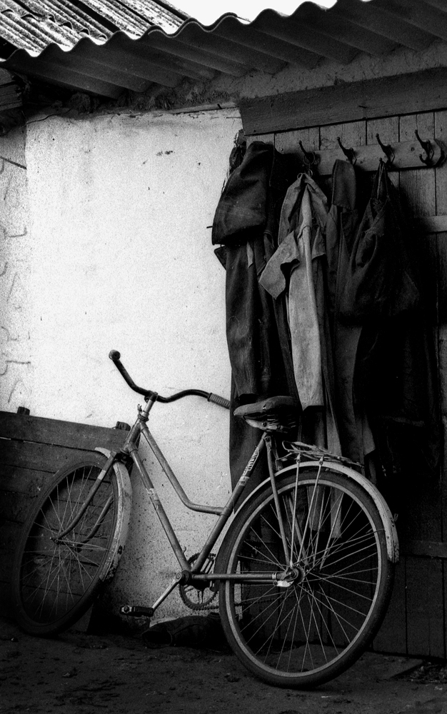 "Сельская жизнь"