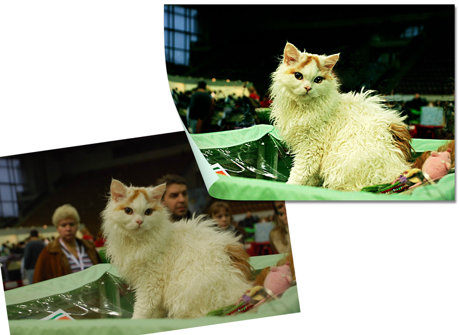 экспресс обработка фотографии