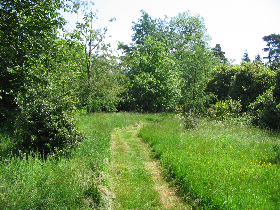 Просто красиво